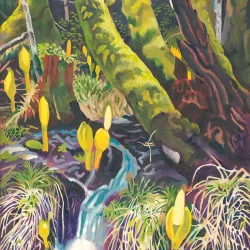 Alaskan Stream