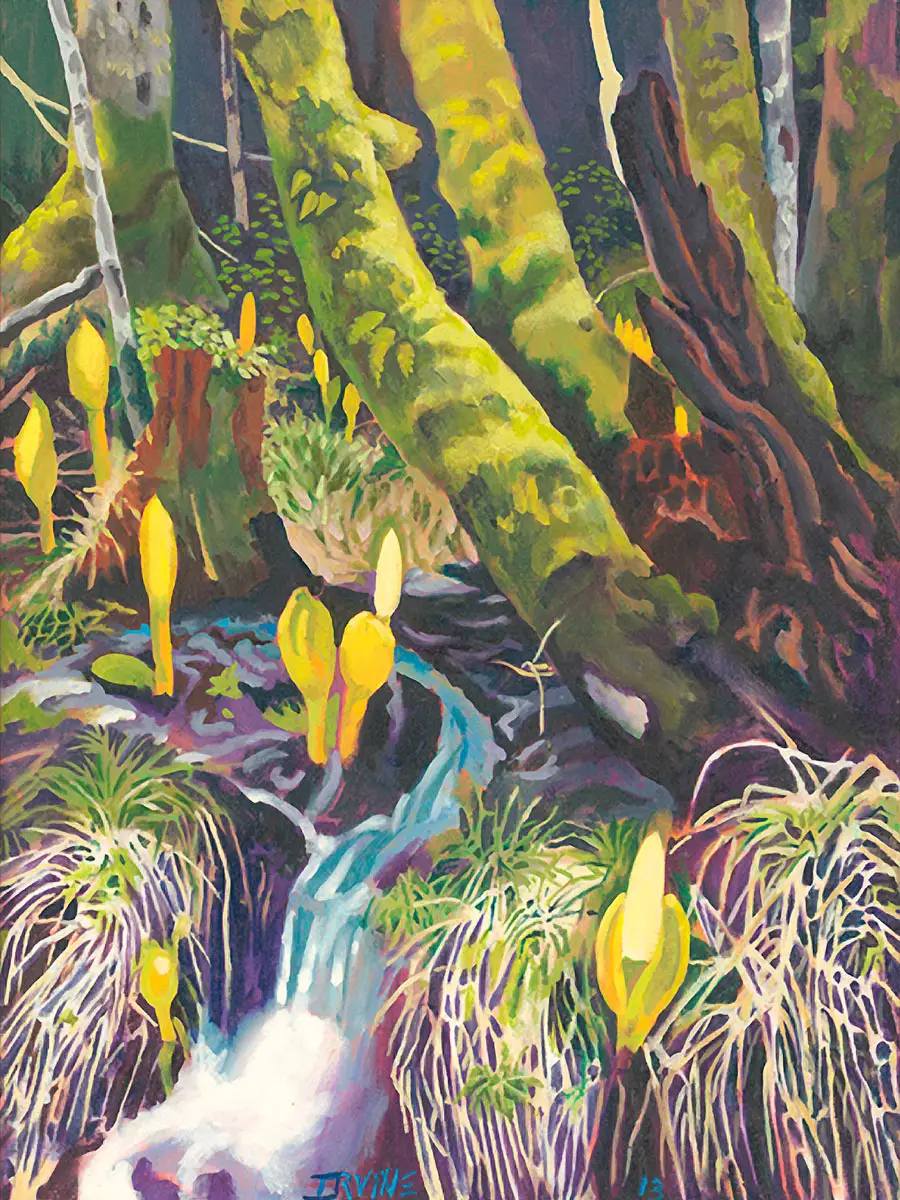 Alaskan Stream