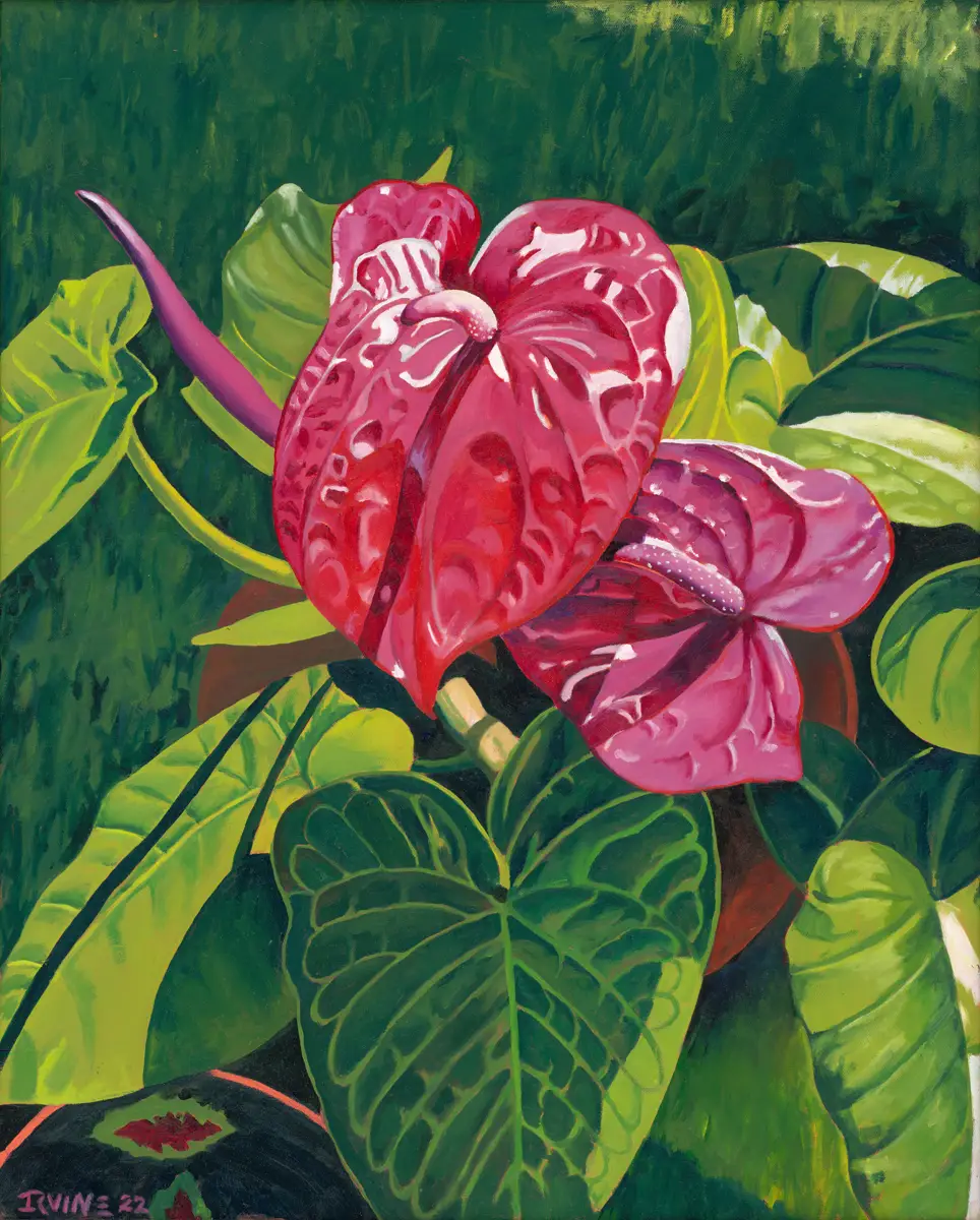 Anthurium