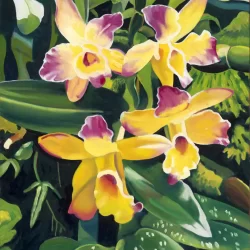 Backyard Orchid