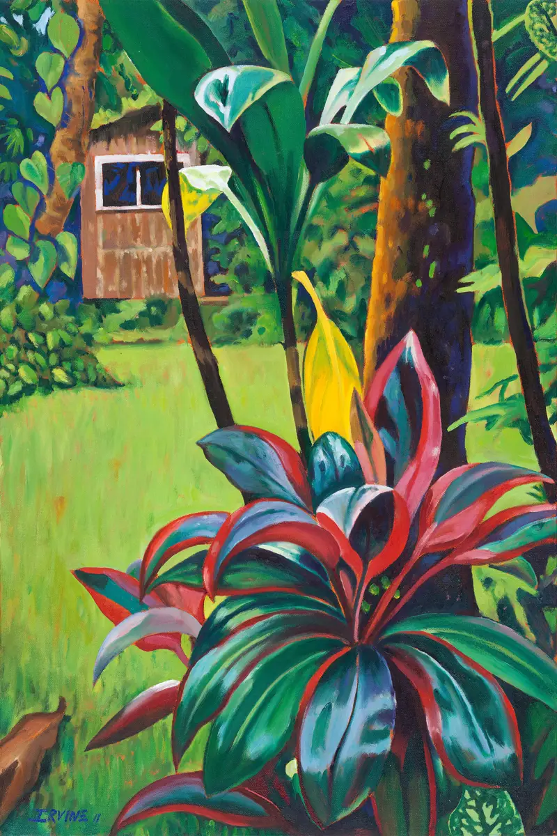 Backyard Shed with Red Ti