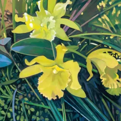 Cool Green Orchids