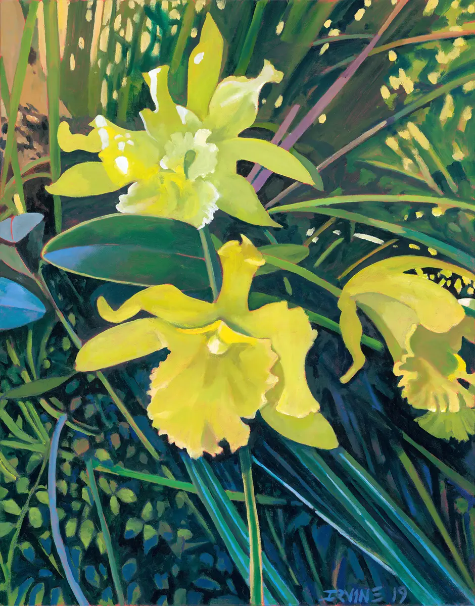 Cool Green Orchids