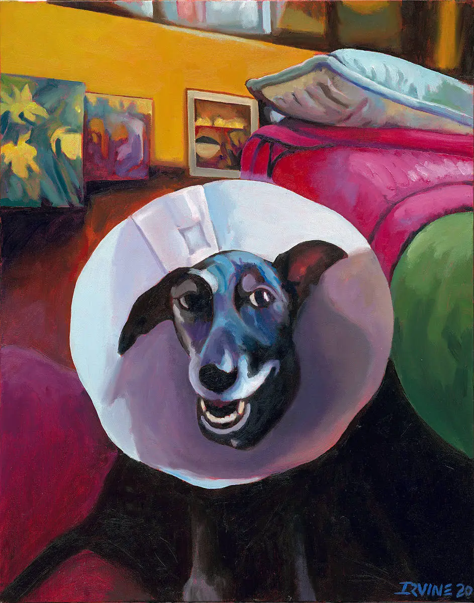 Dog with a Battered Halo