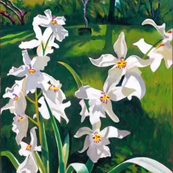 Front Yard Orchids