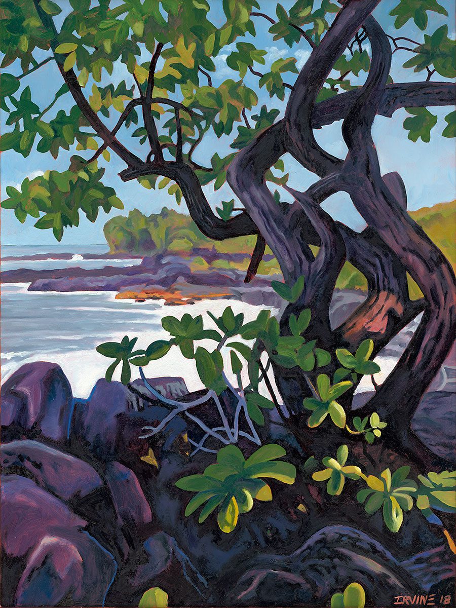 Makuu Cliffs Naupaka