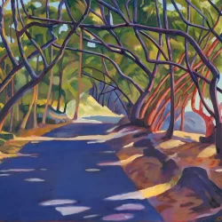 Morning Sunlight on Red Road