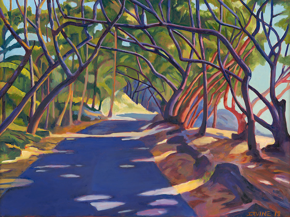 Morning Sunlight on Red Road