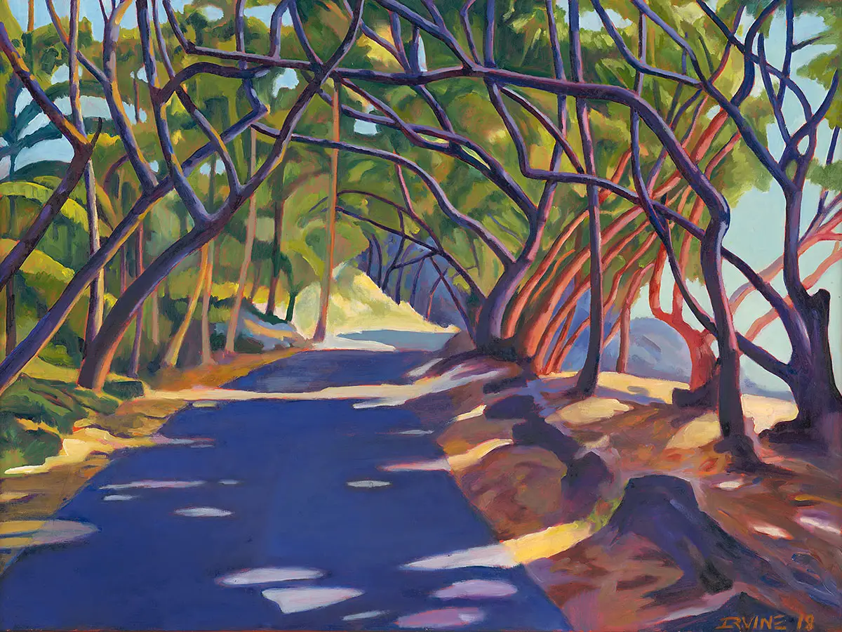 Morning Sunlight on Red Road