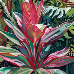 Red Ti Among the Ferns