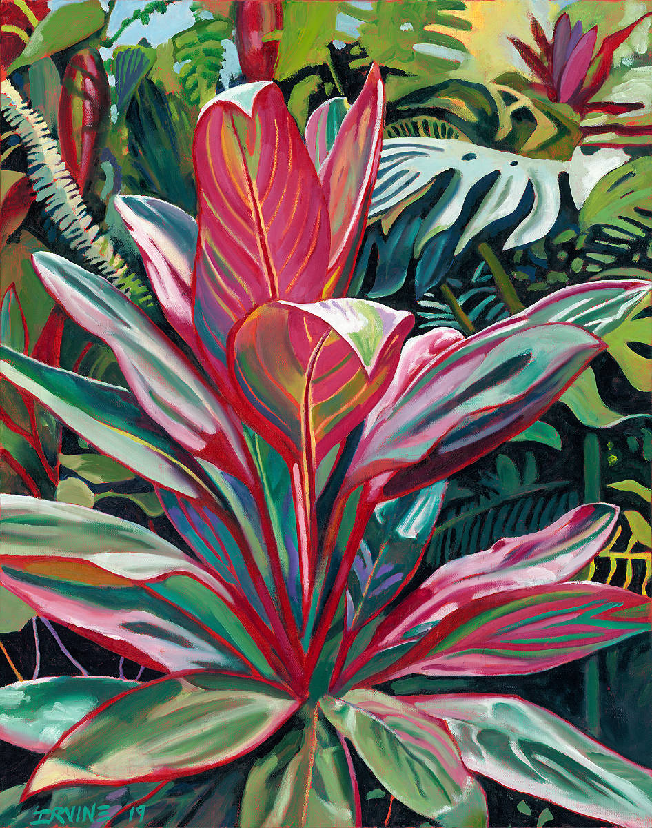 Red Ti Among the Ferns