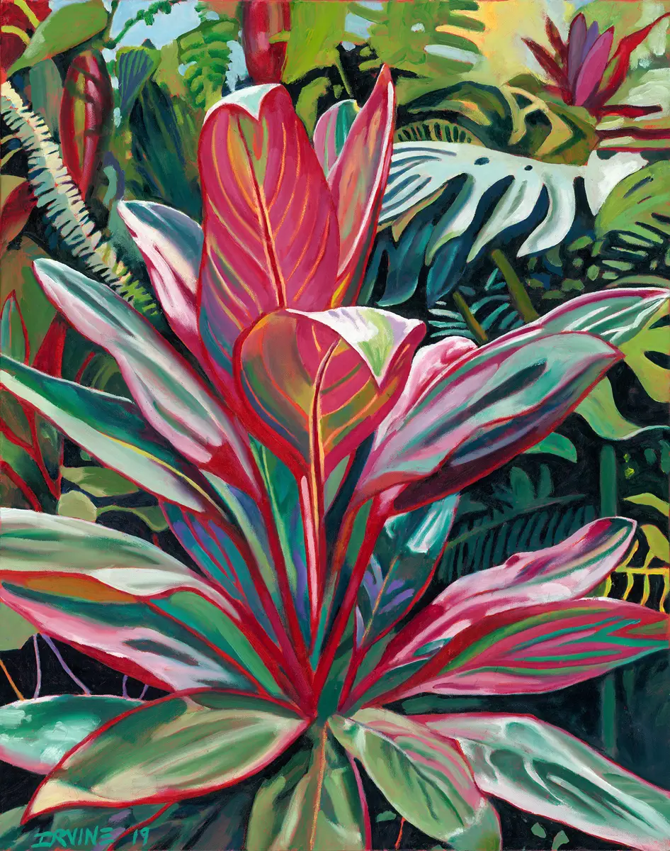 Red Ti Among the Ferns
