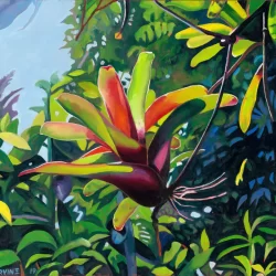 Swimming Bromiliad