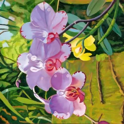 Yellow and Purple Orchids