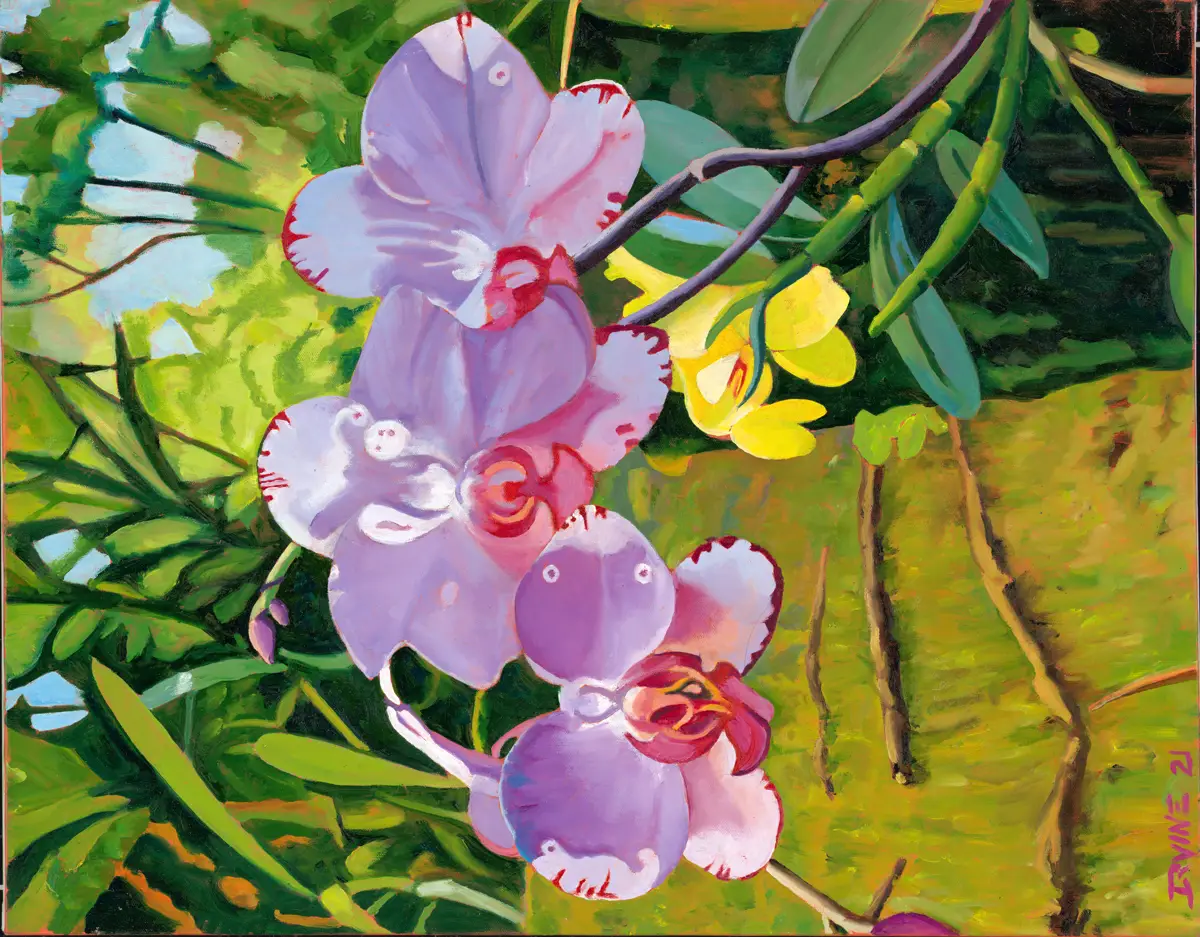 Yellow and Purple Orchids